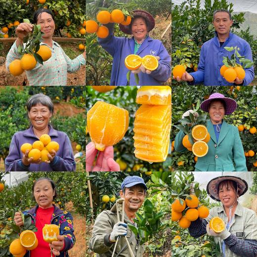 赣南脐橙 |  2025年第一口鲜橙，橙香味甜 商品图0
