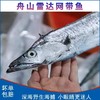 舟山野生雷达网带鱼25.8元1箱约2斤7-9条装，预售周五到 商品缩略图4