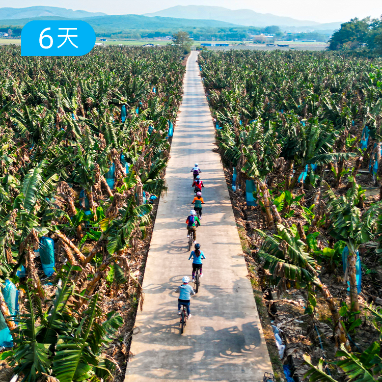 第一届  |  西双版纳·雨林公路骑行节  4+2骑行保障车跟随 骑行零基础可玩 6日