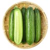 三秋田甜脆小黄瓜300g 商品缩略图0