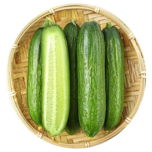 三秋田甜脆小黄瓜300g 商品图0
