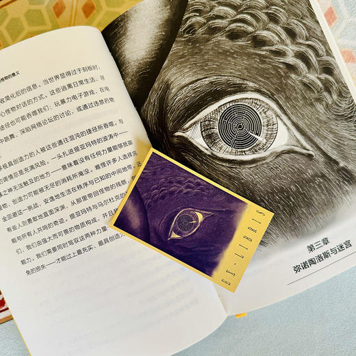 魑魅魍魉：我们的心魔和怪物的意义 方寸新知课系列    [英]娜塔莉·劳伦斯 著    社会科学文献出版社官方正版直发 商品图3