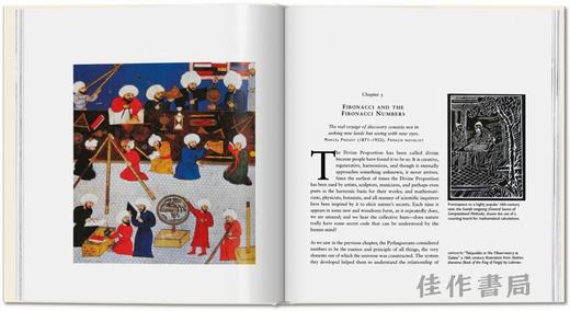 The Secret Code / 秘密代码，神圣比例—支配艺术 自然与科学的神秘公式/原版艺术画册 商品图4