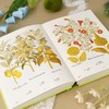 植物圣经 商品缩略图3