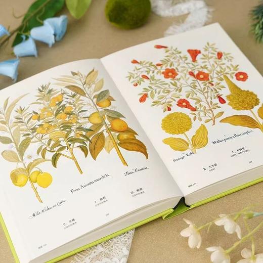 植物圣经 商品图3