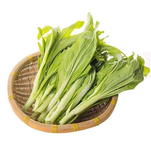 三秋田清甜菜芯250g 商品图0