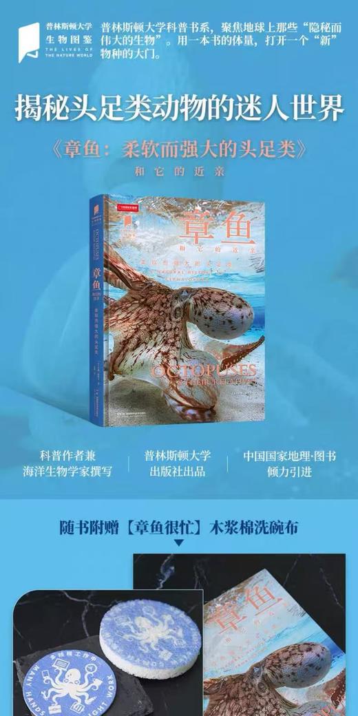 章鱼 商品图0