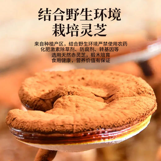 【天然精粹】破壁灵芝孢子粉 高品质有机物理破壁 商品图2