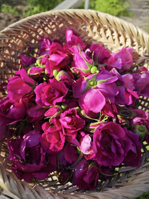 储值卡会员介绍 商品图9