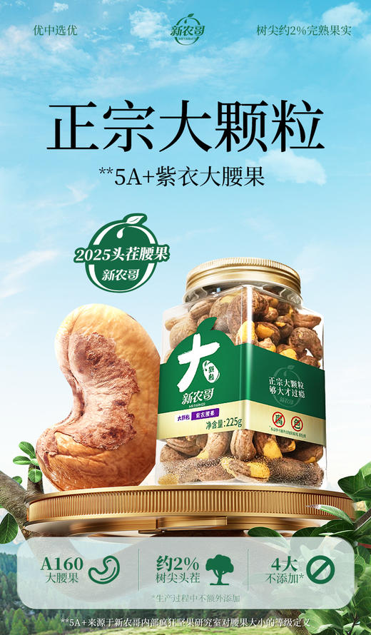 新农哥大颗粒160腰果225g*4罐新货头茬 商品图1