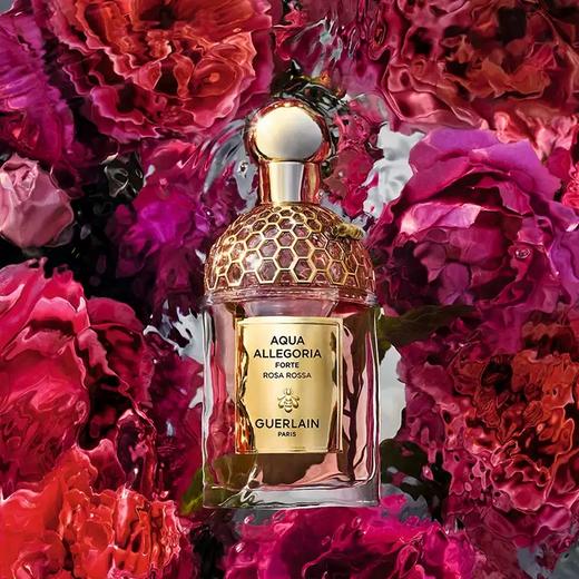 娇兰 花草水语奇迹花园淡香精40ML  G062282-F 商品图1