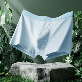 【四条装】 草本初色男士内裤 优质精梳棉虫草裤 速干透气 NQ5519