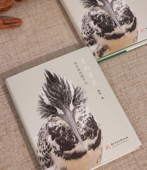 油麻菜新书《生而有灵》·【签名版】 “最精彩的故事就在身边”带你走进未曾见过的世界 商品图2