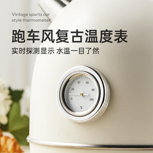 浦利顿复古电热水壶家用大容量一体316不锈钢烧水壶PLD-RF-1816 商品图3