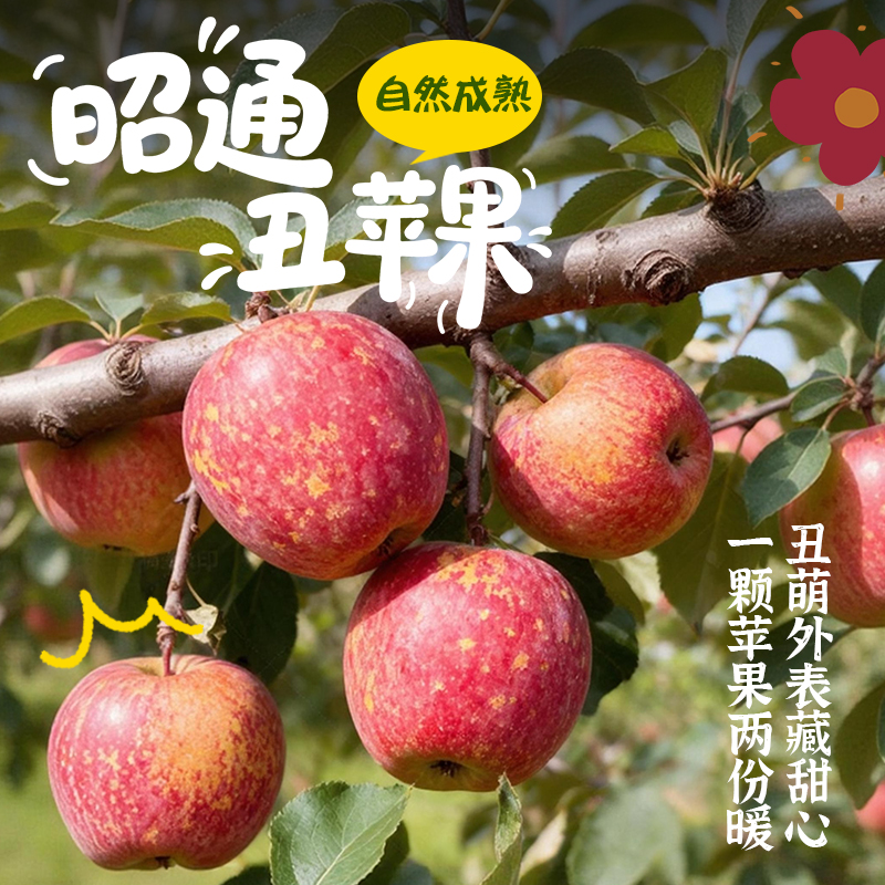 【尹哥专属】昭通丑苹果丨脆甜多汁丨核心产区乌蒙山孕育