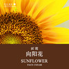 向阳花面霜25ml   A-5395  有机地球 商品缩略图1
