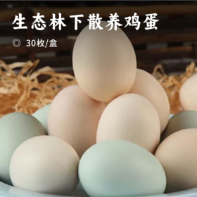 生态林下散养鸡蛋｜高山散养 蛋黄大营养高 富含卵磷脂 无激素 胆固醇含量低