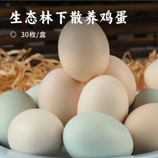 生态林下散养鸡蛋｜高山散养 蛋黄大营养高 富含卵磷脂 无激素 胆固醇含量低 商品图0