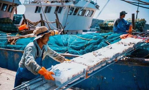 舟山野生雷达网带鱼25.8元1箱约2斤7-9条装，预售周五到 商品图3