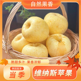 【黄金维纳斯】这款金黄维纳斯，通，纯甜无酸，酥脆爆汁还自带浓郁奶香，一口颠覆认知！