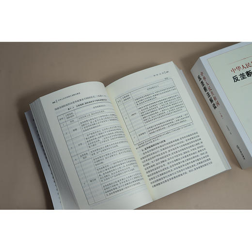 中华人民共和国反垄断法解读（上下册） 吴振国著 法律出版社 商品图3