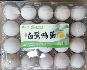 白鹭鸭蛋20枚【MJ】