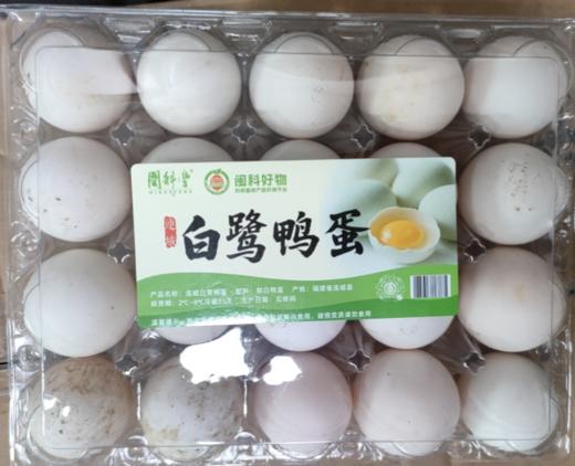 白鹭鸭蛋20枚【MJ】 商品图0