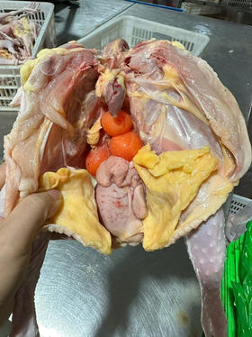 九华山 500天散养母鸡  顺丰冰鲜发货 包邮