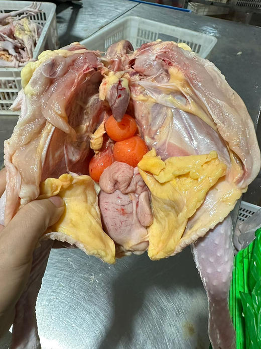 九华山 500天散养母鸡  顺丰冰鲜发货 包邮 商品图0