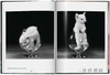 Walter Chandoha. Cats. Photographs 1942–2018 / 沃尔特·尚多哈. 猫 摄影集 1942–2018 /Taschen Pocket Books系列 商品缩略图3