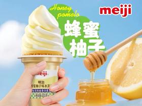 【特价10元/3个】明治蜂蜜柚子味冰淇淋100G(华夫筒）