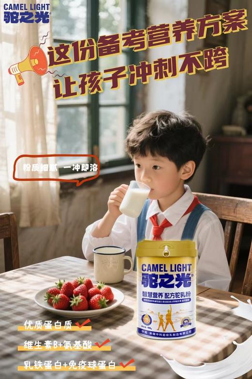 驼之光智慧营养配方驼乳粉 商品图2