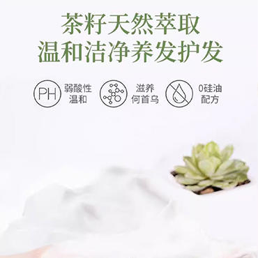 山茶籽生活礼包(500m山茶籽洗发乳+500ml山茶籽洗发乳+500ml山茶籽沐浴露)【GY】 商品图8