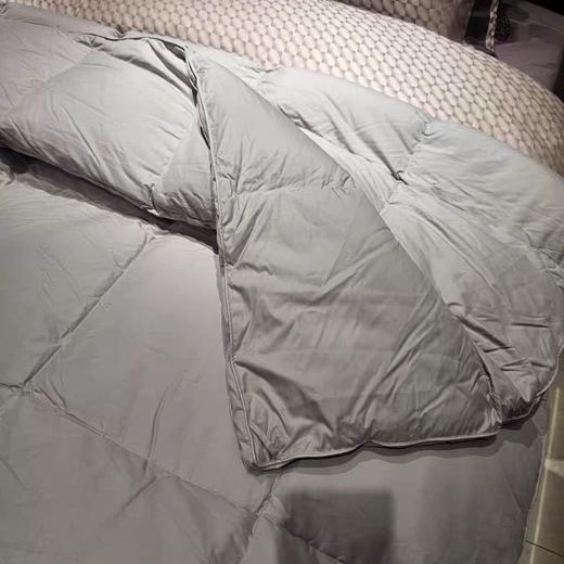 伊利婼鹅绒被 90白鹅绒 买一送一 商品图1