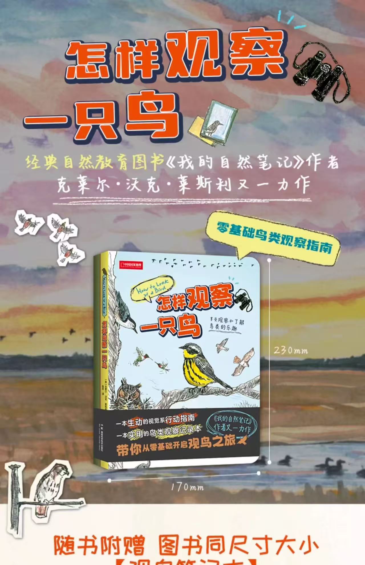 怎样观察一只鸟