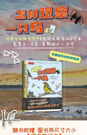 怎样观察一只鸟