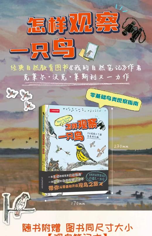 怎样观察一只鸟 商品图0
