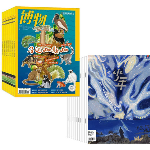【组合订阅】《少年新知》+《博物》（2025.11月-2026.10月 ）年刊 赠送盲盒 商品图0