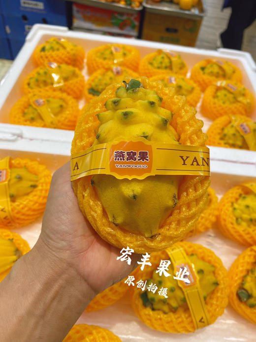 【宏丰精选】燕窝果，口感纯甜，活动价19.8元一个 商品图5