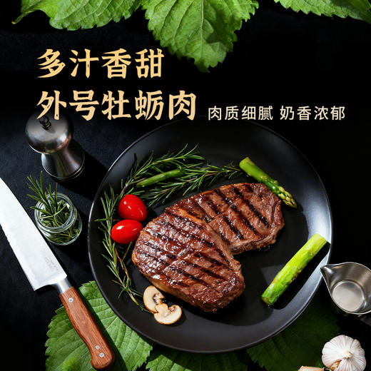 金陇雪 原切牛排 谷饲 国产牛肉生鲜食材 有机板腱牛排200g 商品图1