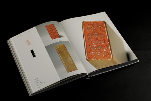 《家在梁溪深处——锡山秦氏藏印精粹》嘉德艺术中心 编 商品图7