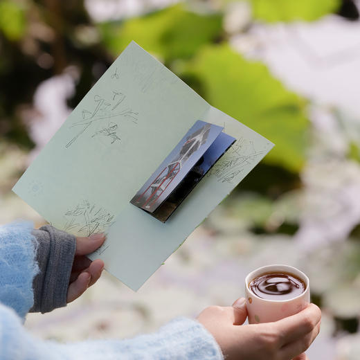 Ceremorning巡游套组 咖啡手冲豆 胡沁迪联名 小鸟散步 zine （下单后7～14天发货） 商品图3