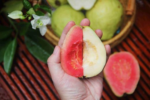 福建漳州【芭乐】 商品图1