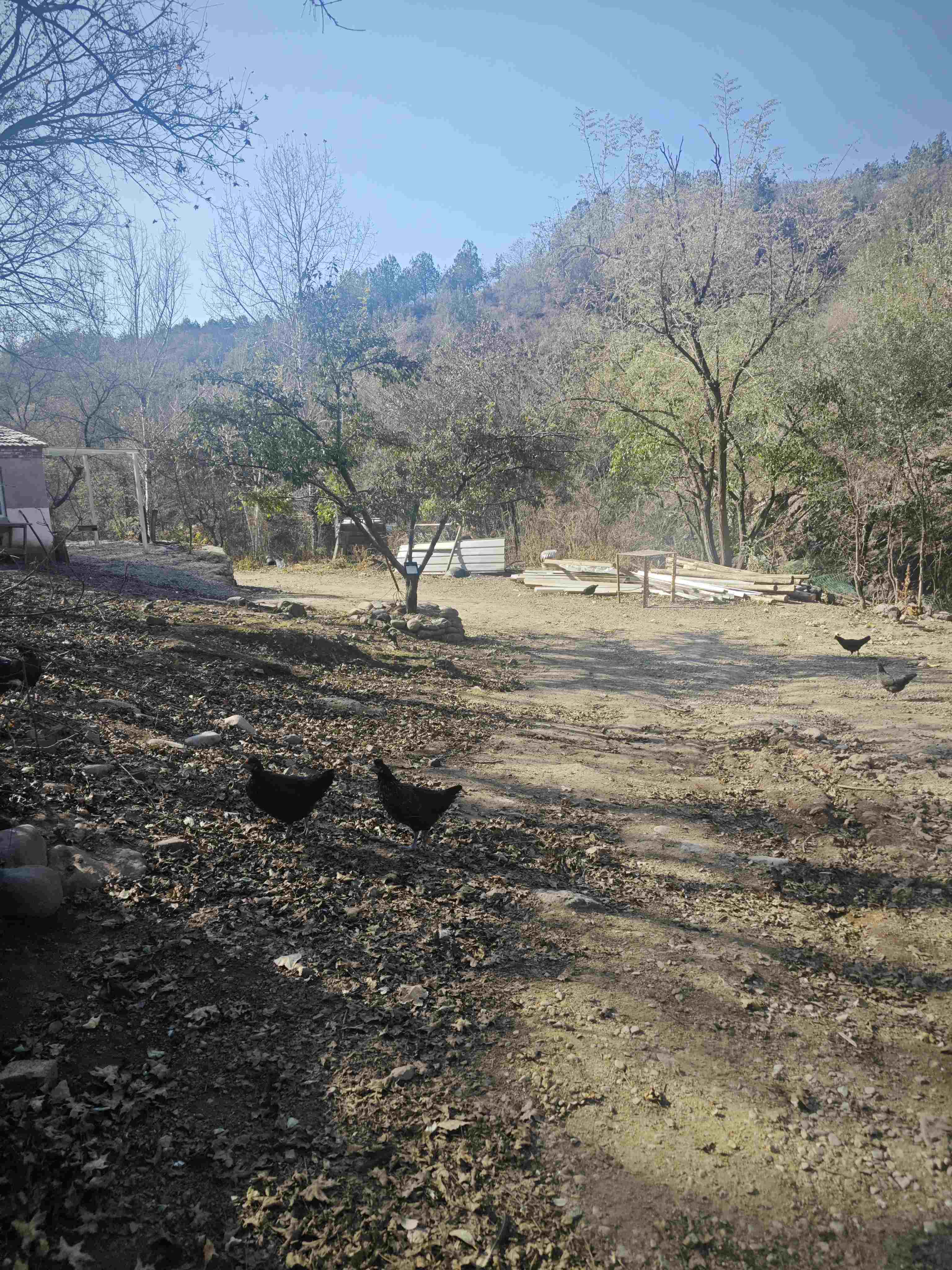 储值卡会员介绍