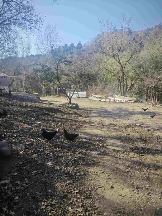 储值卡会员介绍 商品图0