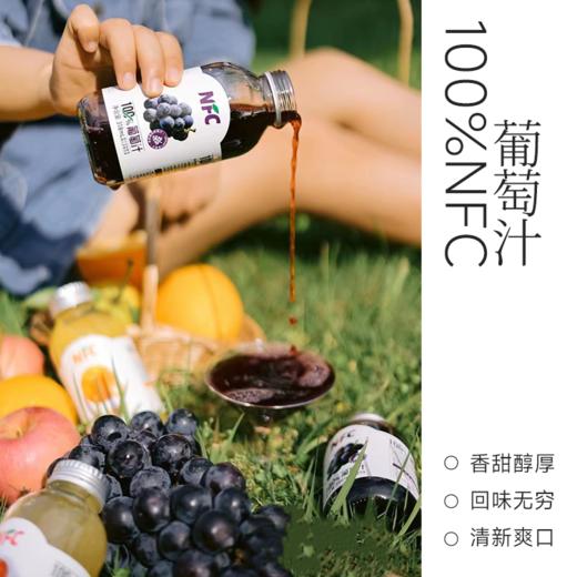 【新疆帮扶】西域小白丨NFC果汁系列 葡萄汁 318ml*5罐 商品图2
