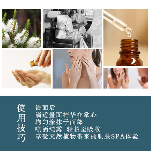 茶树黑种草面部精华油15ml    A-5396 商品图2