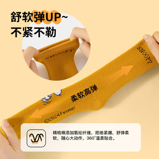 【清仓捡漏】【5双装】【10A抑菌加厚全毛圈袜】【史努比】男童中长款袜子组合装 商品图7