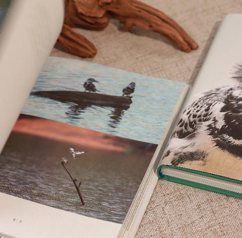 油麻菜新书《生而有灵》·【签名版】 “最精彩的故事就在身边”带你走进未曾见过的世界 商品图1