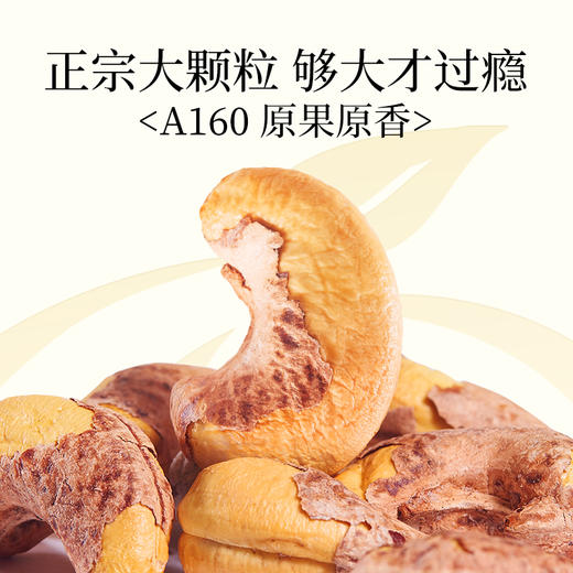 新农哥大颗粒160腰果225g*4罐新货头茬 商品图5